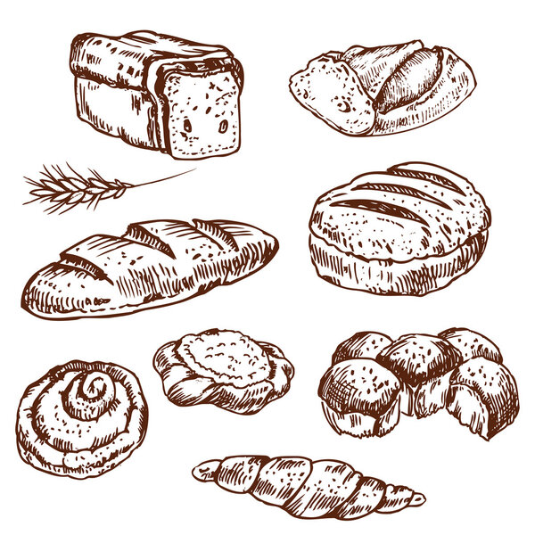 Bread  and bakery 