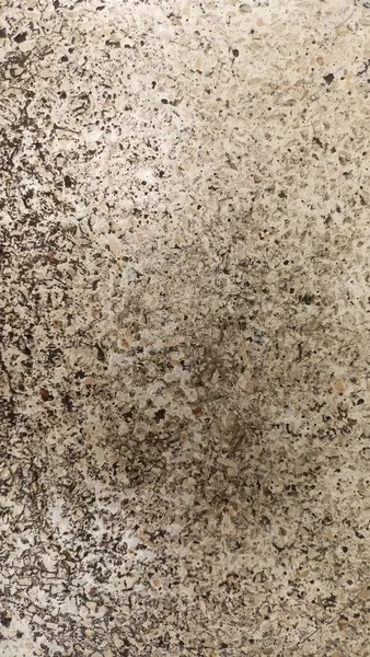 Pürüzsüz ve gözenekli gri beton veya alçı duvar dokusu.