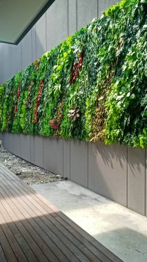 Şehrin modern binası