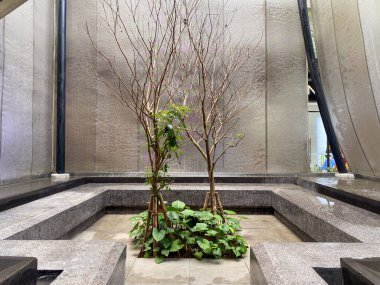 Bir alışveriş merkezindeki modern taş çeşme, sakin bir su yüzeyi ve yansıması var..