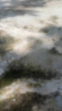 Soyut arkaplan odak dışı. Kırık ve çukurlaşmış beton asfalt yüzeyinin dokusu gri renk bozulmaları ve kurumuş yosun kalıntıları nedeniyle..