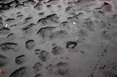 Jakarta, Endonezya - 01 Ocak 2026: Şiddetli yağmurdan sonra ıslak ve çukurlaşmış asfalt yüzeyi