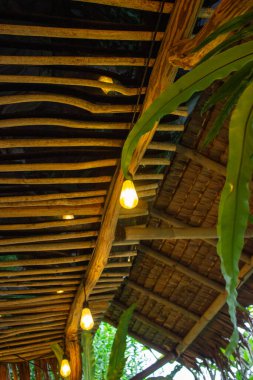 Bambu ve çatının altında kuş yuvası eğreltiotu olan dekoratif asma lambaları ya da açık havada bulunan Asplenyum bitkileri..