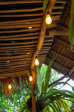 Bambu ve çatının üzerinde asılı dekoratif Edison ampulleri bahçede sıcak ışık yaratıyor..