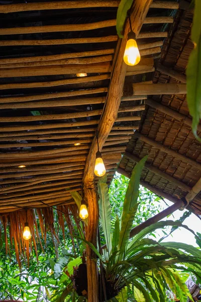 Bambu ve çatının üzerinde asılı dekoratif Edison ampulleri bahçede sıcak ışık yaratıyor..