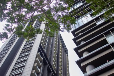 Ağaç yapraklarıyla çevrili tekrarlanan balkon tasarımları olan modern ikiz gökdelenlerin alçak açılı görüntüsü.