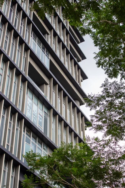 Modern apartman cephesi büyük cam pencereli ve ağaçlar arasında yükselen gri dikey aksanlı.