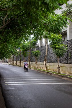 Jakarta, Endonezya - 18 Ocak 2026: Bir Honda Vario binicisi gabion tel çitleri ve sıra sıra Filisiyum ondalık ağaçlarının yanında ıslak asfalt bir yoldan geçiyor.