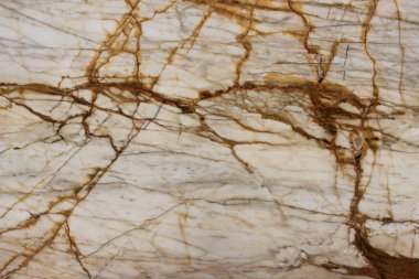 Cilalanmış beyaz Calacatta Macchia mermerinin yüzeyindeki altın ve kahverengi damarların detaylarını kapat.