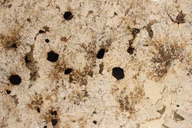 Brezilya 'dan beyaz kuvars kristalleri ve eşsiz siyah biyotit benekleri olan Patagonya Granit mermer dokusu.