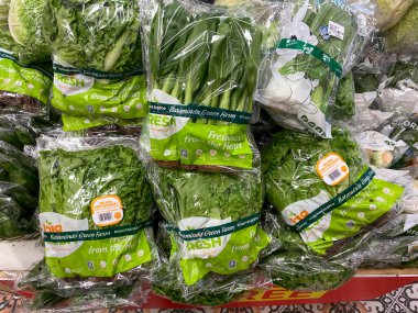 Batamindo Green Farm hidroponik çiftliğinden taze kıvırcık kıvırcık kıvırcık kıvırcık lahana plastik ambalajda satışa hazır..