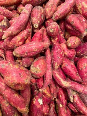 Kırmızı tatlı patatesler parlak mor derili Ipomoea yarasaları ve ince toprak dokusu sağlıklı bir karbonhidrat ve antioksidan kaynağıdır.