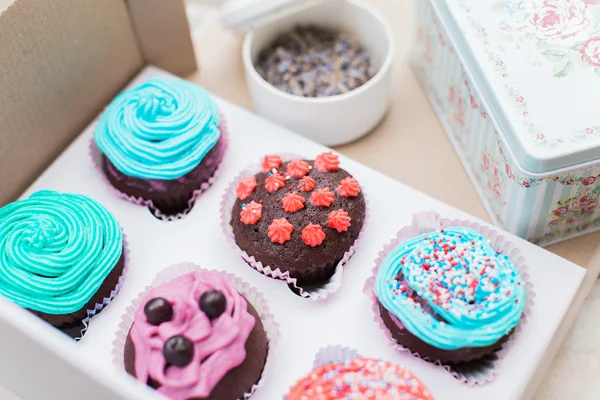 Cupcakes de chocolate decorados — Foto de Stock