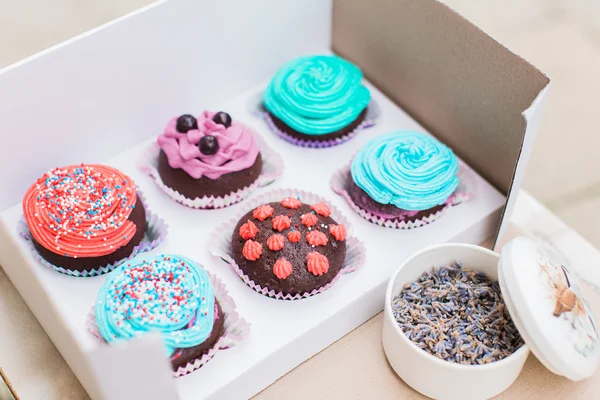 Cupcakes de chocolate decorados — Foto de Stock