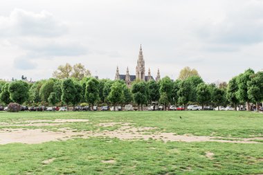 Viyana'nın Belediye Binası (Rathaus). Avusturya.