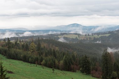 dağ manzarası yaz akşam yağışlı, Romanya