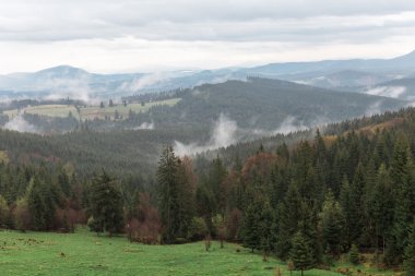 dağ manzarası yaz akşam yağışlı, Romanya