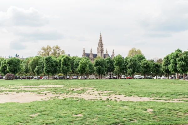 Viyana'nın Belediye Binası (Rathaus). Avusturya.