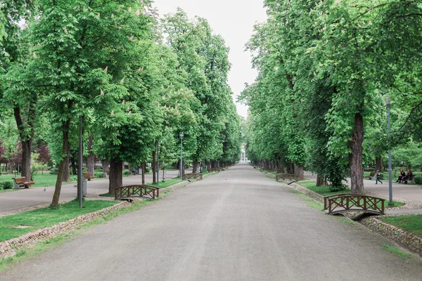 Domingo por la mañana a pie en el parque en Cluj Napoca, Rumania — Foto de Stock