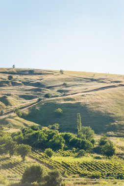 Yaz peyzaj dağlar ve tepeler, Moldova