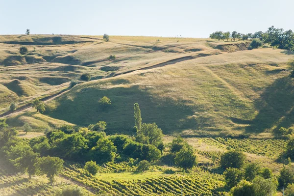 Paisaje de verano en las montañas y colinas, Moldavia —  Fotos de Stock