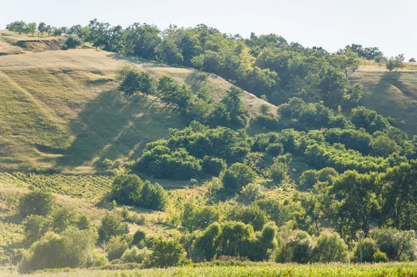 Paisaje de verano en las montañas y colinas, Moldavia —  Fotos de Stock