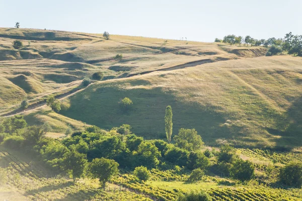 Paisaje de verano en las montañas y colinas, Moldavia —  Fotos de Stock