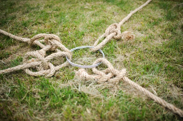 Team building tug of war — Stock Photo, Image