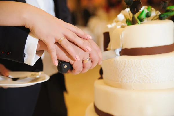 Slicing the cake — Stock Photo, Image