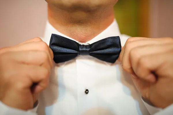 Bowtie... — Fotografia de Stock