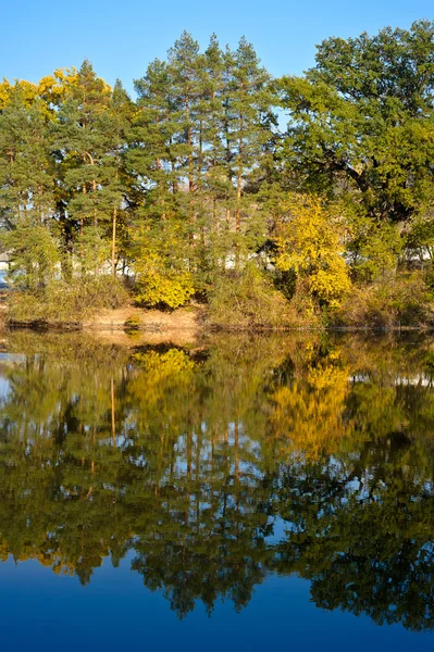 Image en couleur d'un lac entouré d'arbres en fleurs par une journée ensoleillée — Photo