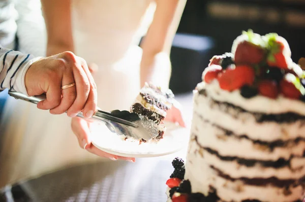 Noiva e noivo estão cortando o bolo de casamento — Fotografia de Stock