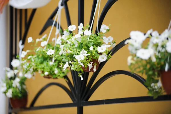 Wedding decor flowers