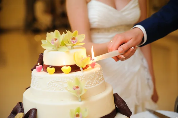 新郎新婦がウエディング ケーキをスライスします。 — ストック写真
