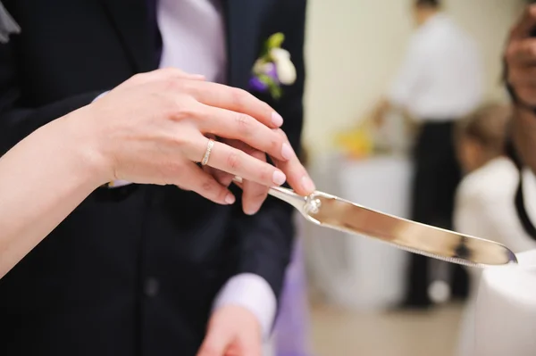 Noiva e noivo estão cortando o bolo de casamento — Fotografia de Stock