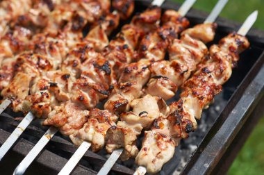Barbekü üzerinde ızgara kebab