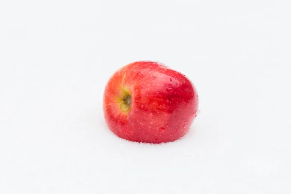 Red apple resting in snow — Stock Photo, Image