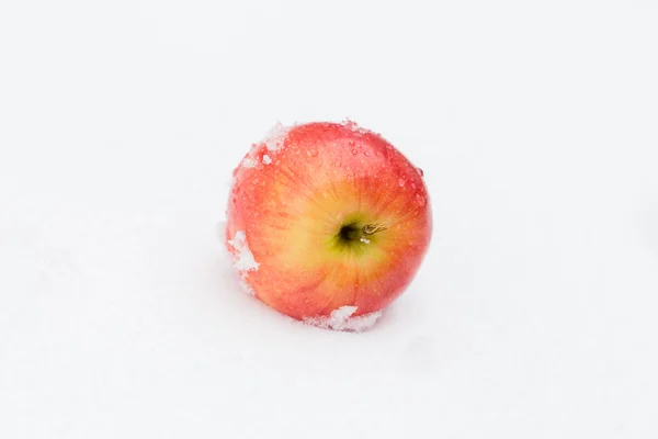Red apple resting in snow — Stock Photo, Image