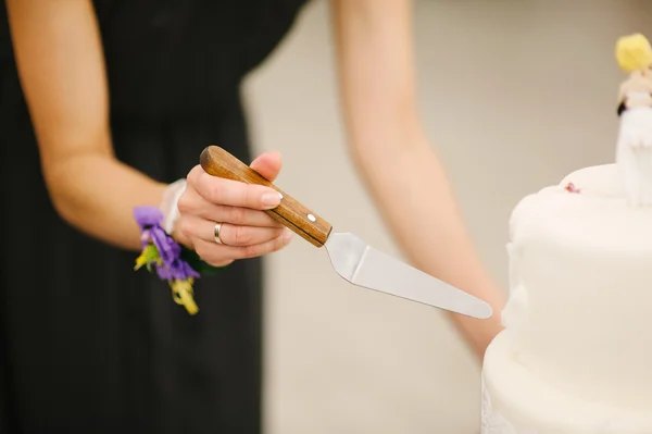 Slicing the cake — Stock Photo, Image