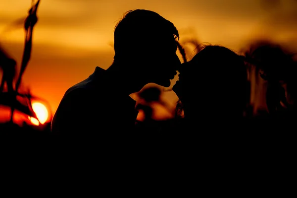 Casal beijando silhueta em sua história de amor — Fotografia de Stock