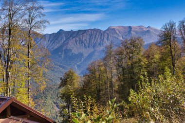 Soçi 'deki dağlar ve ormanlar.