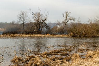 Kuru çim sahada yanan