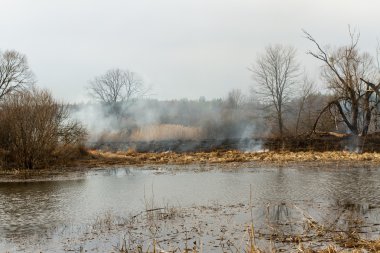 Kuru çim sahada yanan