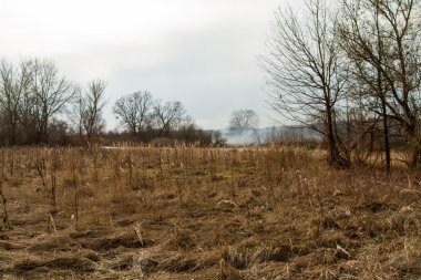 Kuru çim sahada yanan