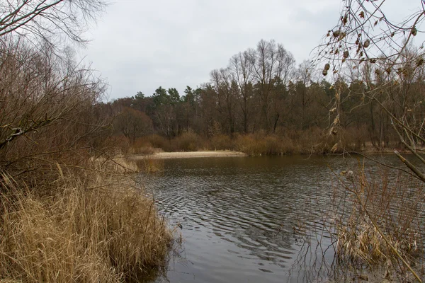 Lago a principios de primavera —  Fotos de Stock