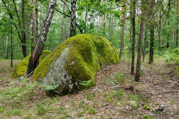 Big Stones Boulders Forest — Stock Photo, Image