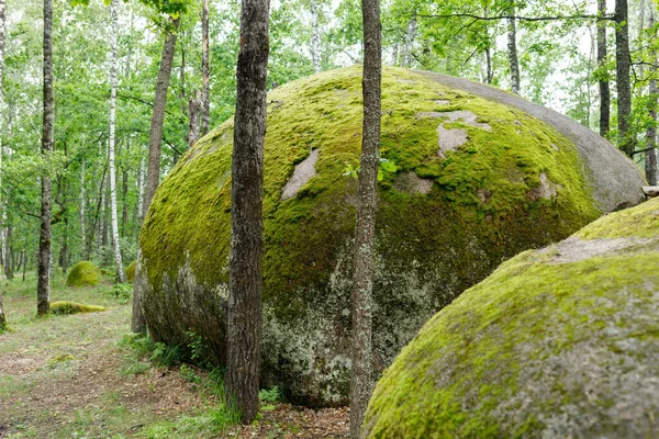 Big Stones Boulders Forest — Stock Photo, Image