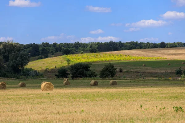 Field Bales Hay — Stock Photo, Image