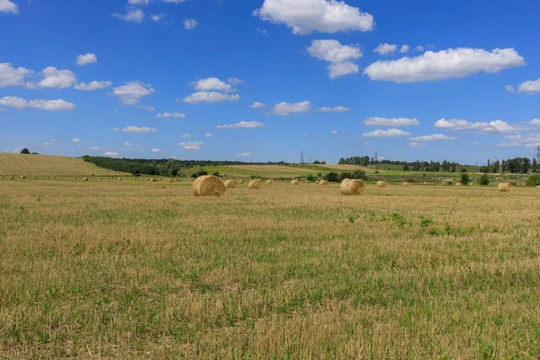 Feld Mit Heuballen — Stockfoto