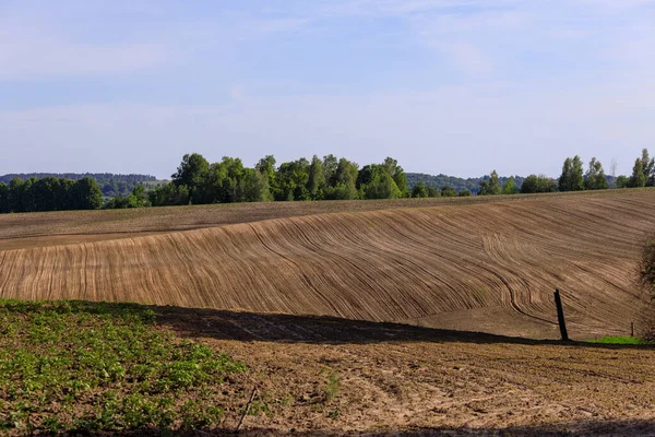 View Fields Ukraine — Stock Photo, Image